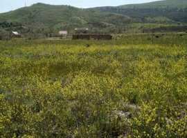  СРОЧНО!!! Приватизированный земельный участок- 6 соток,...