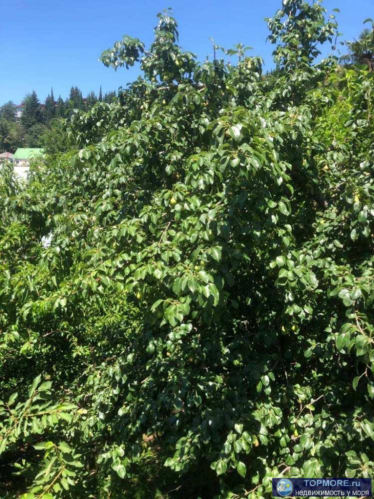 Предлагаем вашему вниманию квартиру-студию в самом любимом районе всех Сочинцев. Это район Макаренко. Данный район...