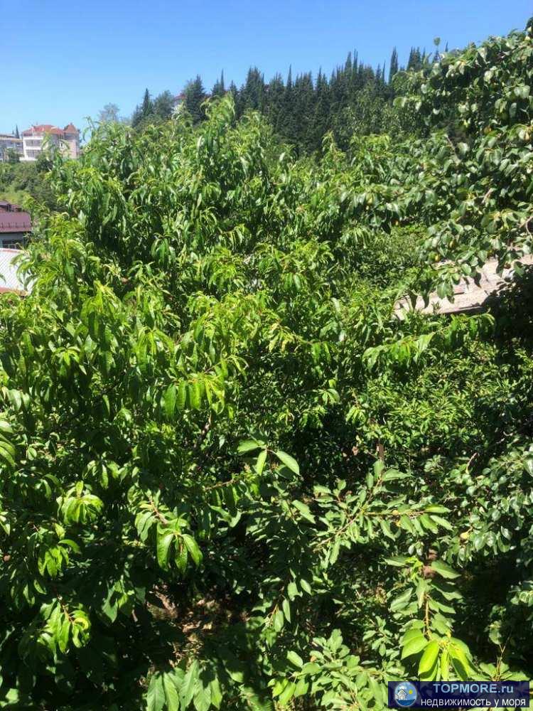 Предлагаем вашему вниманию квартиру-студию в самом любимом районе всех Сочинцев. Это район Макаренко. Данный район... - 1