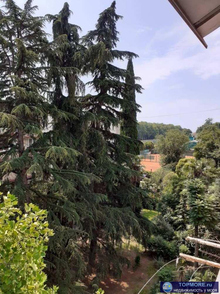 Лот № 171507. Продаётся квартира в центре Сочи. квартира с косметическим ремонтом. Мебель и техника. Придомовая... - 1