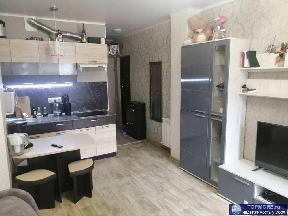 В продаже квартира-студия в центральном районе Светлана. Общая площадь - 25 кв.м. помещение грамотно распланировано в...