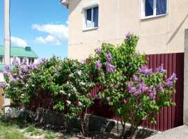 Продам дом 169кв.м на берегу моря, до моря 400м, участок 11сот....