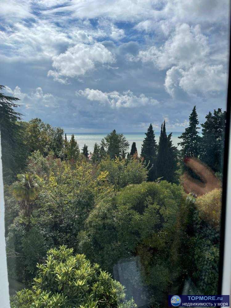 Лот № 168198. Предлагаем вашему вниманию просторную квартиру в живописном комплексе Хоста-Сити. Квартира расположена... - 2