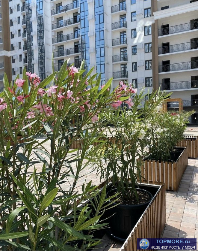 жк альпийский квартал. 45,6 кв. м. Евродвушка. Рядом с комплексом находятся ж/д вокзал Сочи, прогулочная зона улицы... - 2