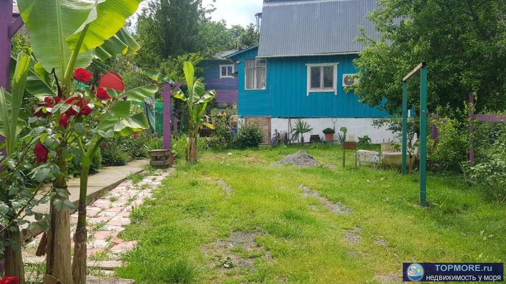 Продаётся дом в с. Детляжка площадью 60 кв. м. на участке 5 соток земли. Есть дом - бытовка с коммуникациями - 13,5... - 1