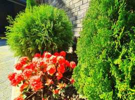 Продам дом в элитном коттеджном поселке на Красной Поляне в районе...