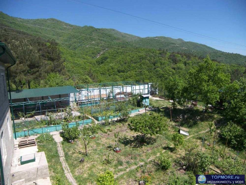 Продаётся дом на превосходном земельном участке в тихом уютном месте.На участке есть два дома. Первый готовый с... - 1