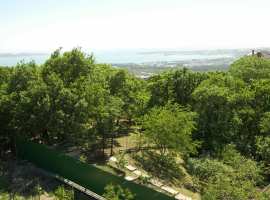 Продаётся дом на превосходном земельном участке в тихом уютном...