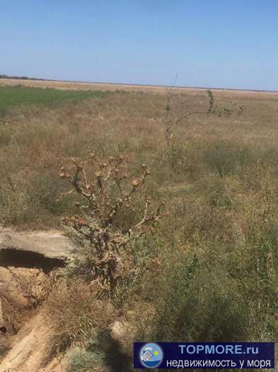 Продажа земельного участка с ветхим домом в Раздольненском районе, с.Огни ул.А Кима,12. Стоимость 800 000 руб....