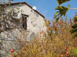 На продаже жилой дачный дом в хорошем товариществе Фиолента - СТ...