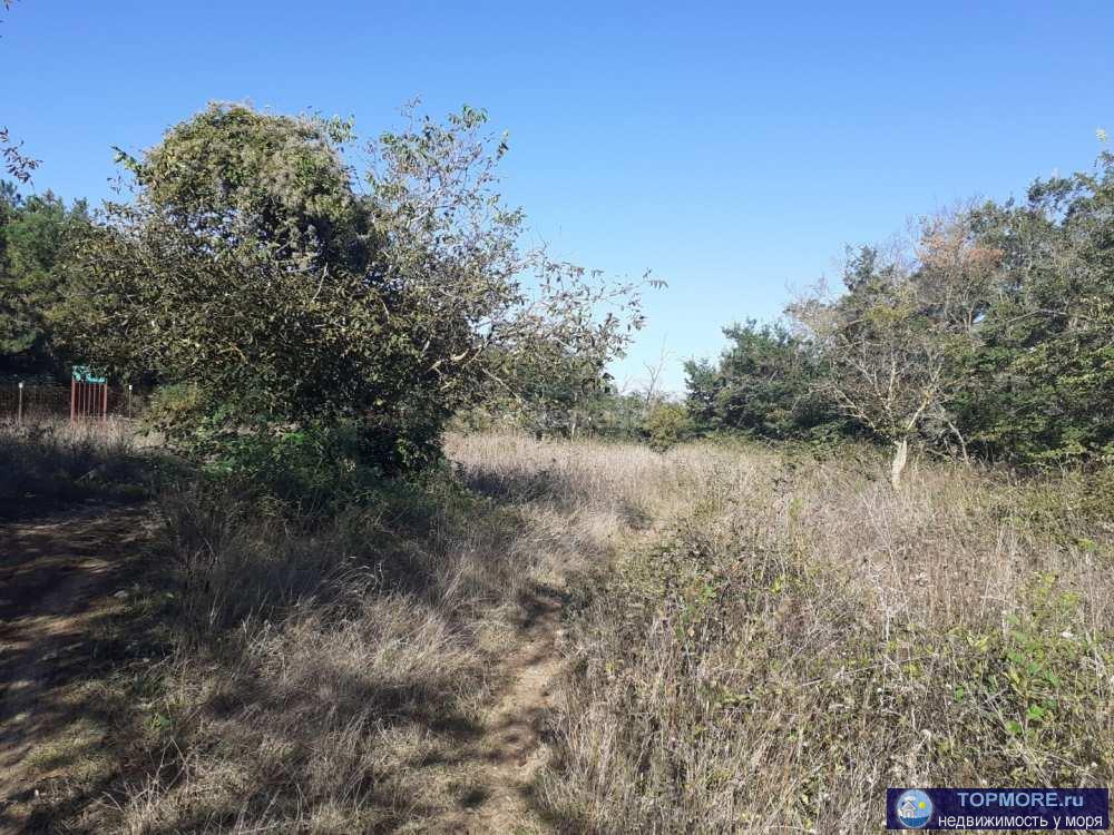 Ровный участок в балке Бермана, закрытый от всех ветров Фиолента. Идеально для дачи: рядом сосновый лес, земля -...