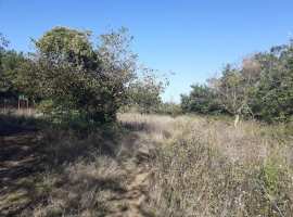 Ровный участок в балке Бермана, закрытый от всех ветров Фиолента....