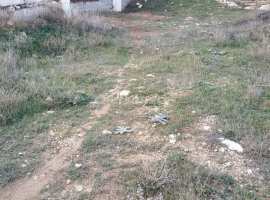 Продается участок 4 сот., СТ "Планер-2", Фиолент,...