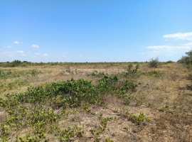 Предлагается к продаже участок 130 соток в СТ "Берег"...