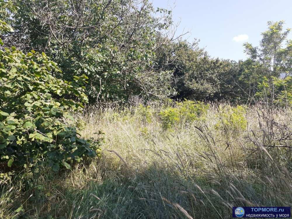 Продается видовой участок 10 сот., ИЖС, ул. Владимира Тюкова, с. Орлиное, Балаклавский район.  Ровный, ухоженный,...