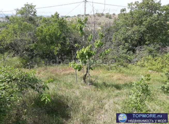 Продается участок 5 соток ИЖС, ул. Комбата Гегешидзе, Нахимовский район.  Участок ровный, пустой.  По коммуникациям:...