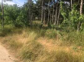 Продается участок 15 сот в ТСН СТ Победа! 

Участок находится в...