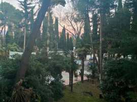 Лот № 155395. Срочно продаются апартаменты с ремонтом у моря!Цена...