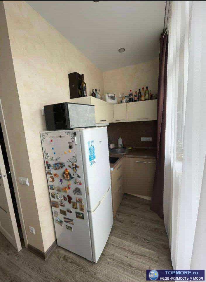 Продается квартира-студия с ремонтом, мебелью и техникой в пешей доступности от зимнего театра и моря. В квартире... - 1