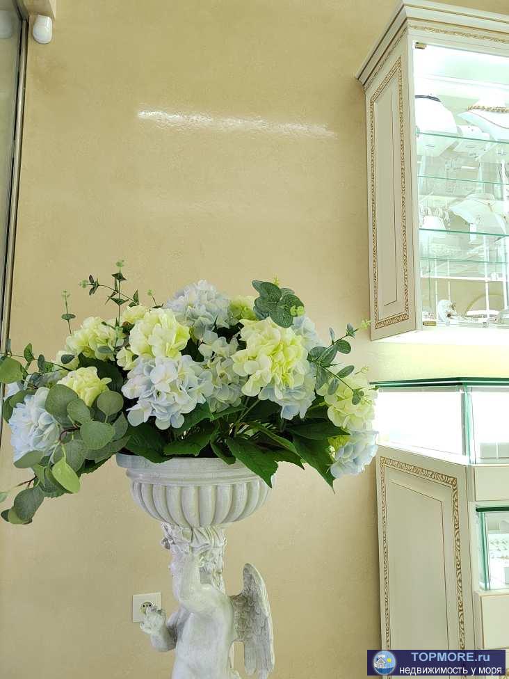 Продается уникальный объект коммерческой недвижимости в самом центре Сочи!!! Готовый и полноценно работающий бизнес... - 6