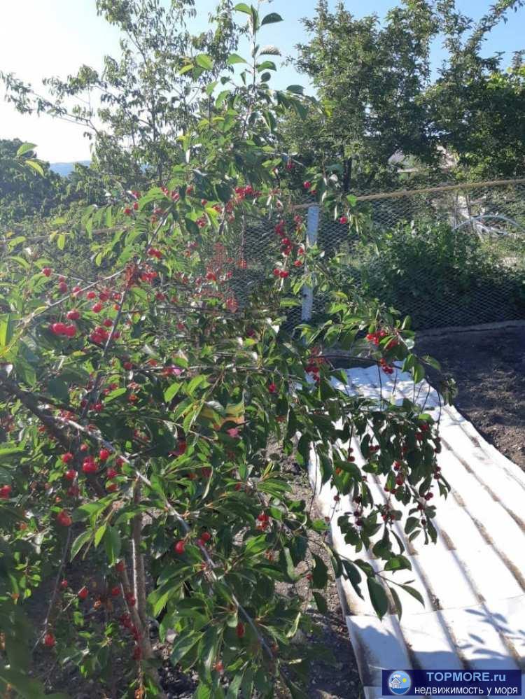 Лот № 20623. Продаю дом в Геленджике. Газ, вода (скважина), свет. Окна все новые. Есть подвал и мансарда, летняя...