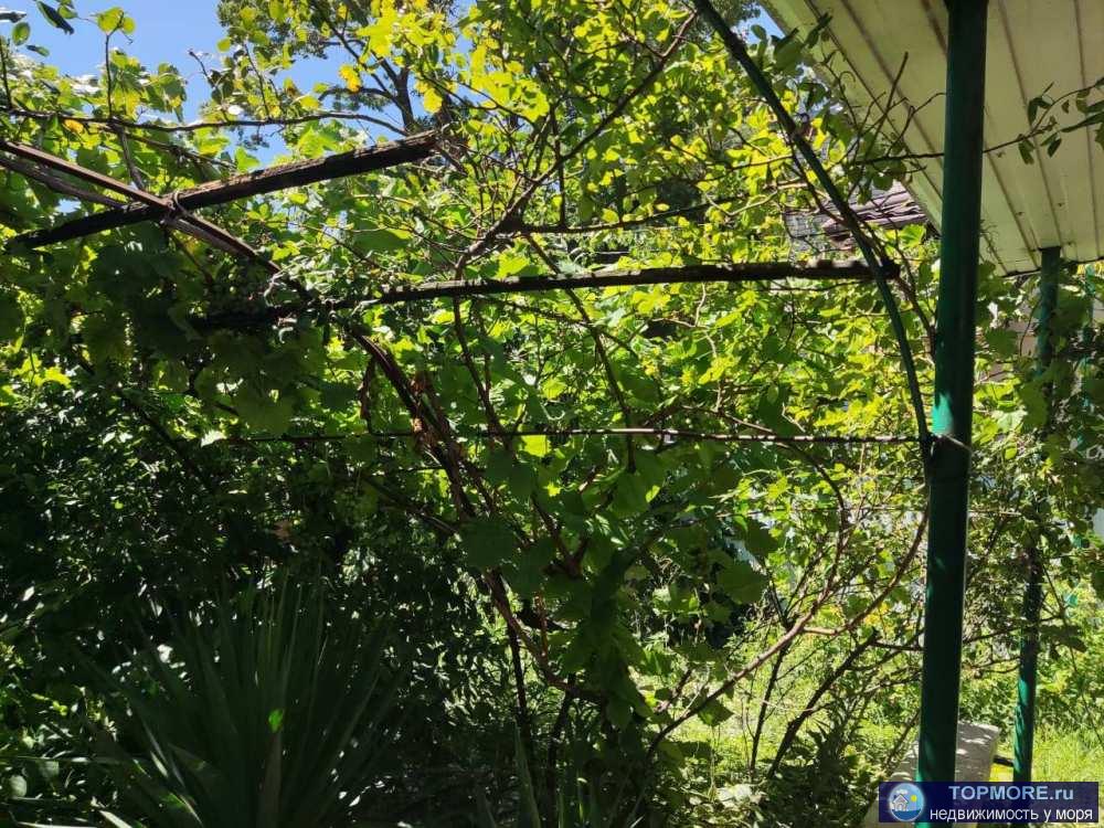 Лот № 20995. Продается земельный участок 3,8 соток с 1/2 домом в самом центре Геленджика. Коммуникации по меже. Длина...