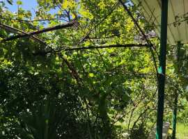 Лот № 20995. Продается земельный участок 3,8 соток с 1/2 домом в...