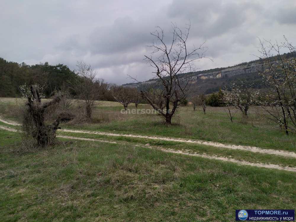 Предлагается к продаже земельный участок площадью 1,5 га для  сельскохозяйственного использования в селе Красный Мак,...