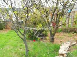 Предлагается к продаже видовой участок в 10 метрах от соснового...