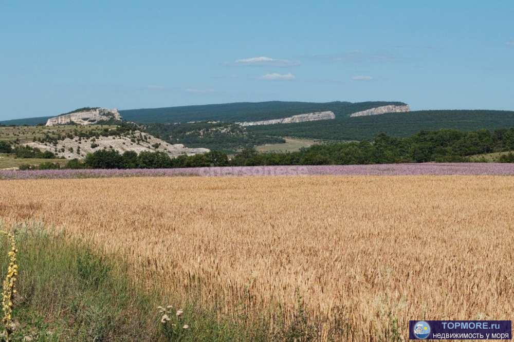 Продам  участок в Бахчисарайском районе. - 15 соток. - расстояние до моря 1.5 км. - электричество рядом. - назначение...