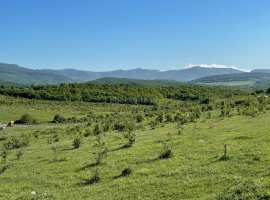 Продажа участка 9 сот. в с. Передовое (Байдарская долина).

Участок...