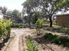 Предлагается дом 50м2  с участком 25 соток ИЖС в селе Равнополье...