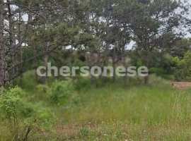 Продается участок 8.7 сот. СНТ Победа ( Фиолент) Получено ГПЗУ,...