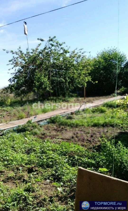 Продается дача 20 кв.м. на участке 4 сотки на Сапун-горе.Продам дачу на Сапун-горе .До самого участка... - 1