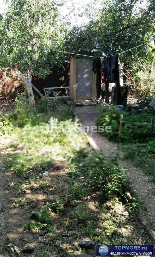 Продается дача 20 кв.м. на участке 4 сотки на Сапун-горе.Продам дачу на Сапун-горе .До самого участка... - 2