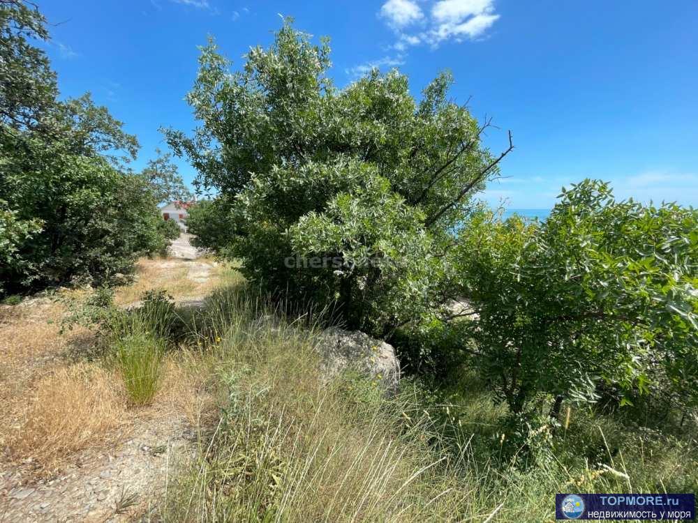 Продажа участка ИЖС 6,4 сот. в пгт. Парковое (Симеиз).  Участок трапецевидной формы, ровный, имеет  асфальтированные... - 2