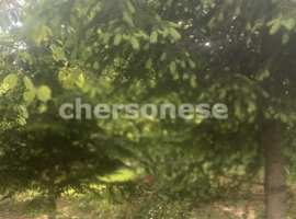 Продается участок 4 сотки в развитом СТ "Югрыбхолодфлот"...