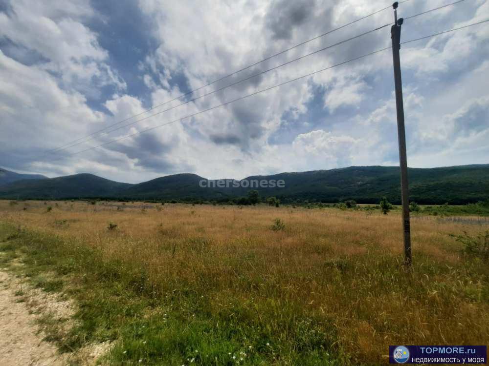 Продажа участка 7,4 га. в селе Широкое. Земля сельскохозяйственного назначения.  Участок правильной формы, ровный.... - 2