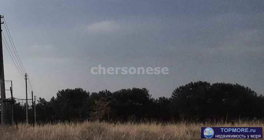 Продается участок на Фиоленте 4,3 сотки  Участок ровный, без насаждений и построек.  Газ планируется в 2025г. Вода,... - 1