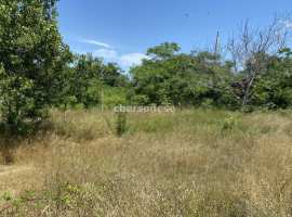 Продам участок СТ Шкипер, северная сторона г. Севастополь.Участок...