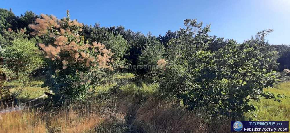 Продается ровный прямоугольный участок 4 сотки в ТСН Наука-2. Участок граничит с сосновым лесом. До СТ Балаклавец 300...