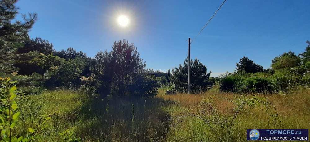 Продается ровный прямоугольный участок 4 сотки в ТСН Наука-2. Участок граничит с сосновым лесом. До СТ Балаклавец 300... - 1