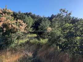 Продается ровный прямоугольный участок 4 сотки в ТСН Наука-2....