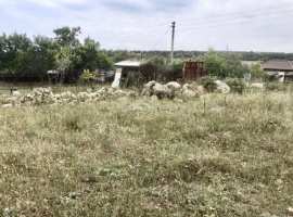 Продается ровный пустой участок 4 сотки в ТСН "Селена"...