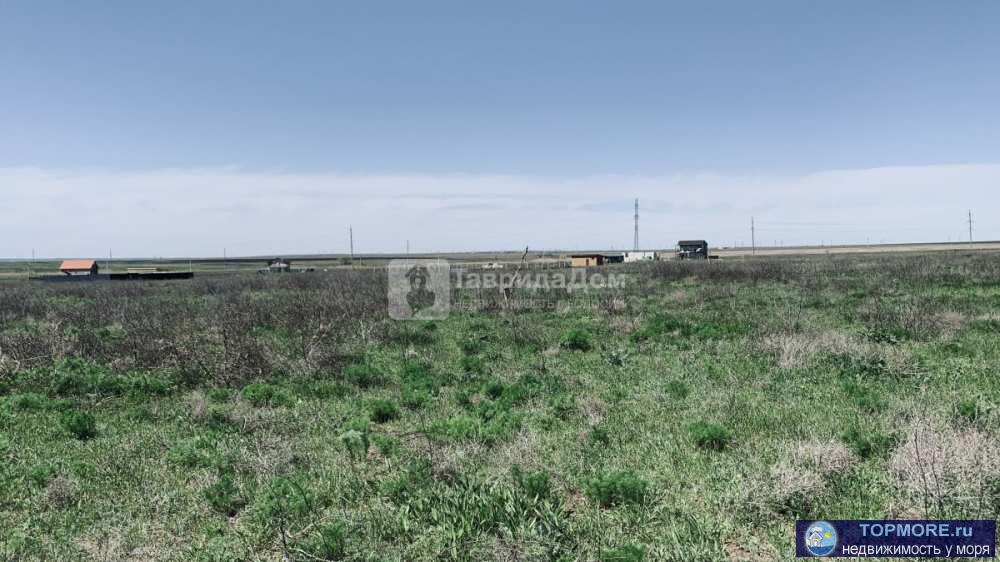 Продам земельный участок 10,99 сотки ИЖС,  с. Береговое, ул. Полевая, Феодосия. Вокруг соседи уже строятся. До моря... - 1