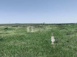 Продам садовый участок 8 соток, СНТ Нептун, 
Приморский, Феодосия....