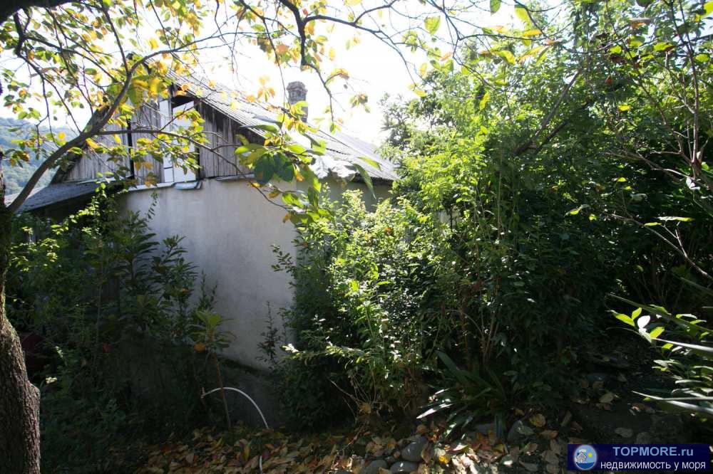 Продается дом в с.Высокое на ул.Новогорской. На земельном участке площадью 3 сотки растут плодоносящие деревья.... - 2