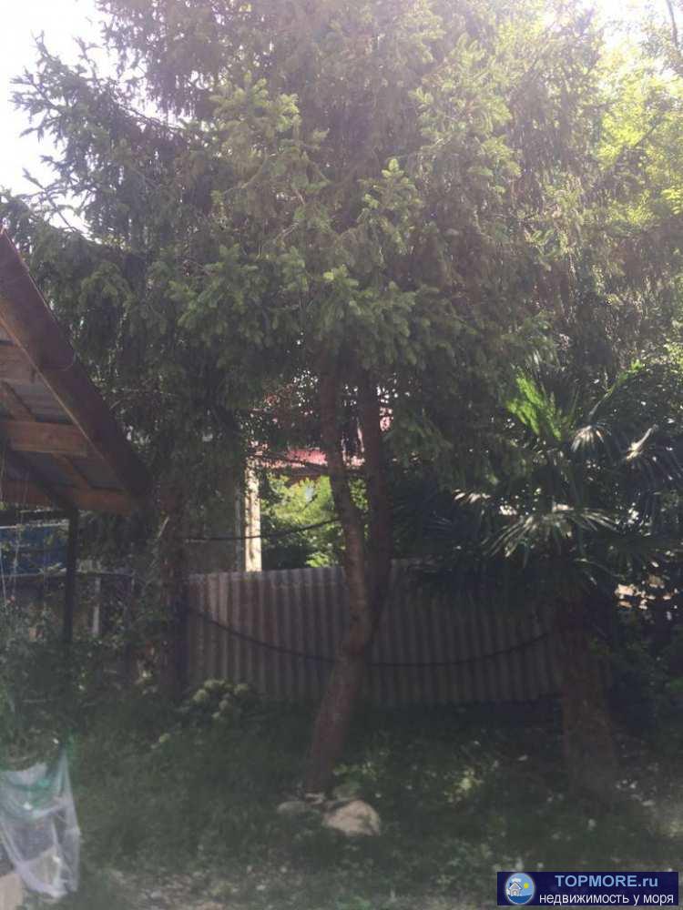 Продается дом - Мамедова Щель  Земля и дом в собственности.Прописка Сочи!  Проведен ремонт дома.( внутри и... - 2