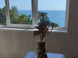 Дом у моря в Центральном районе Сочи. На Ваш выбор два аналогичных...