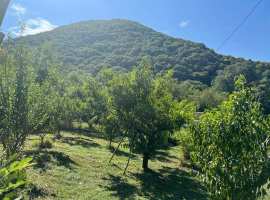 Лот № 21060. Продается участок 10 соток (по факту 20 соток) с домом...